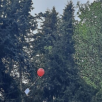 Foto: Ballon steigt in den Himmel